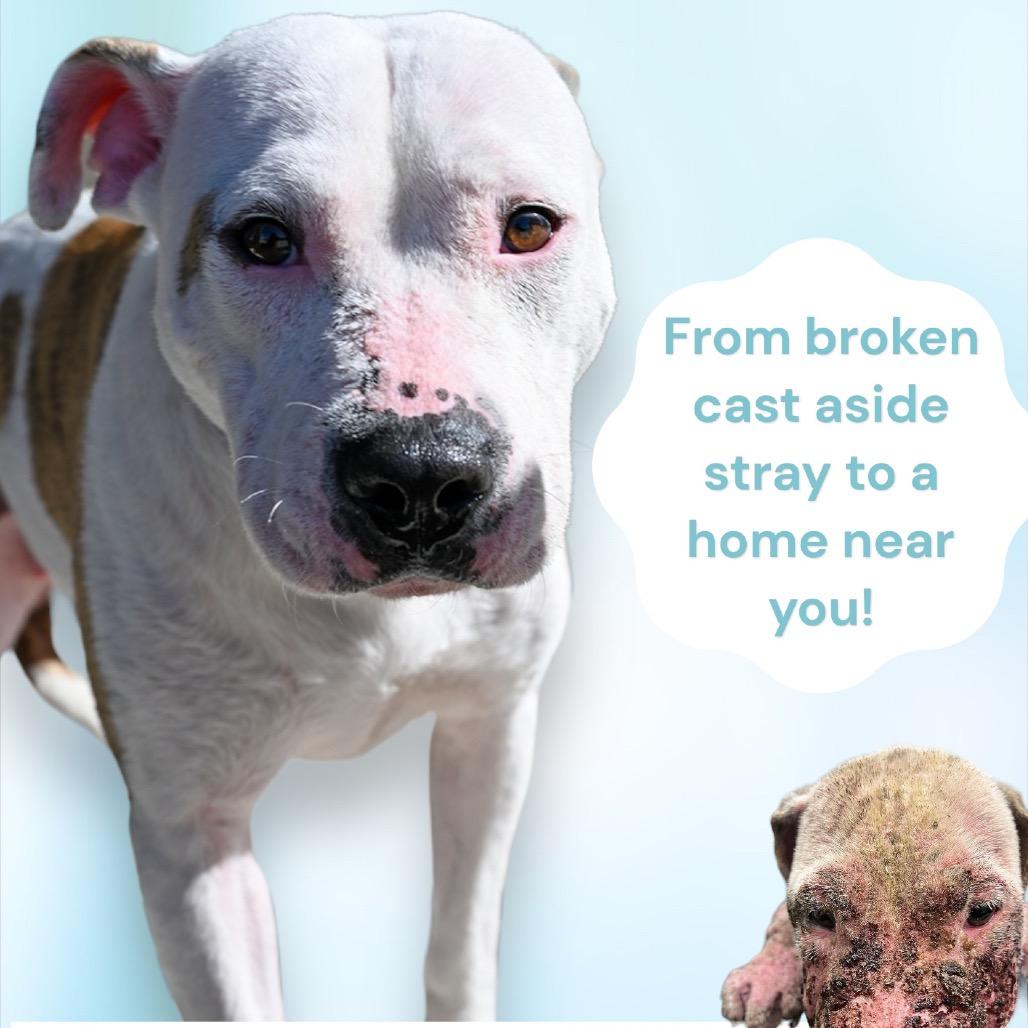 Chloe — thumbnail 4