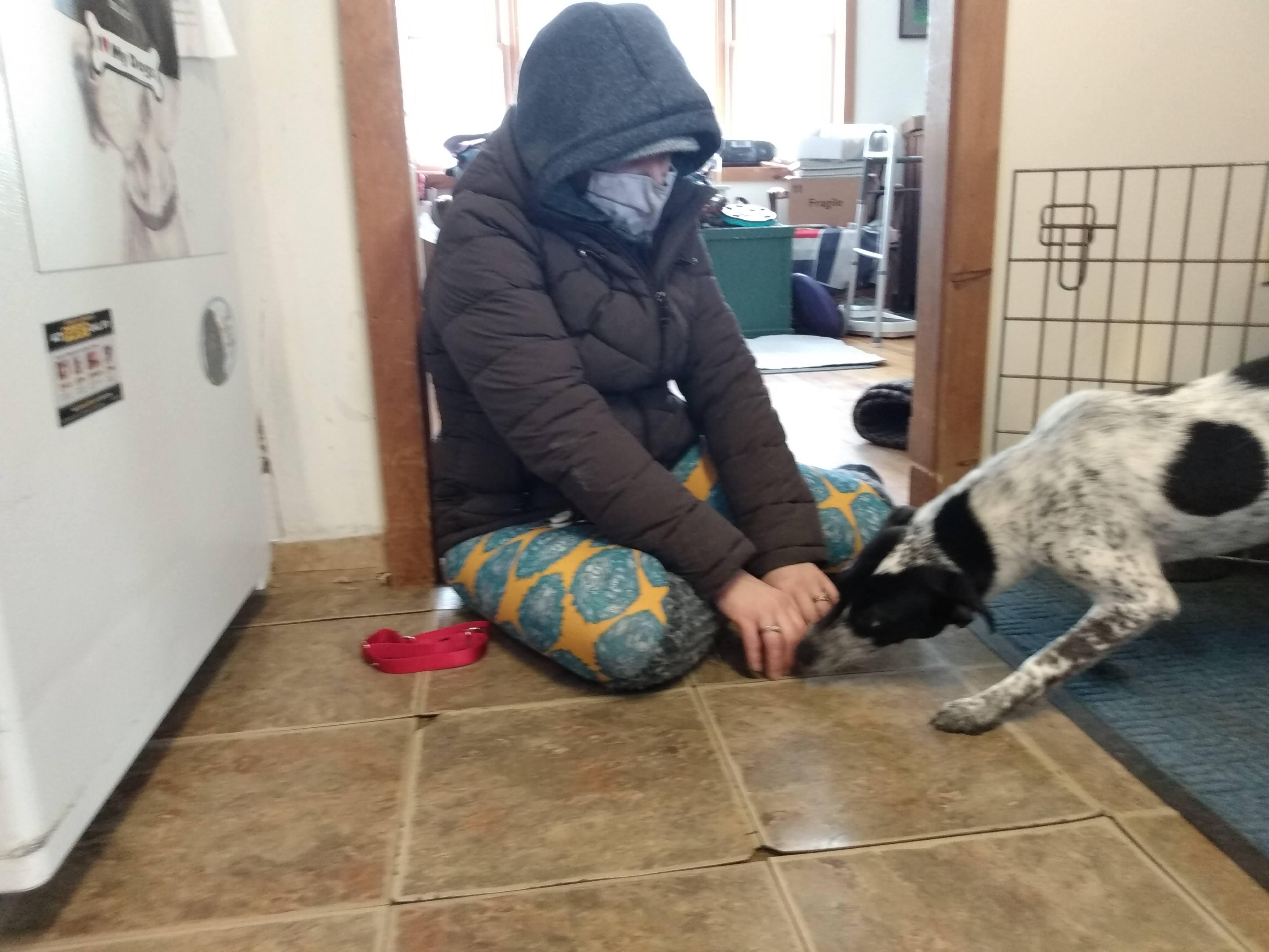 Enlarge Phoebe, a ADOPTABLE mixed breed in Garden City, NY image 3/5