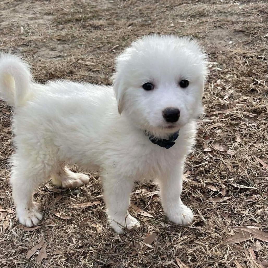 Dolomites thumbnail 2