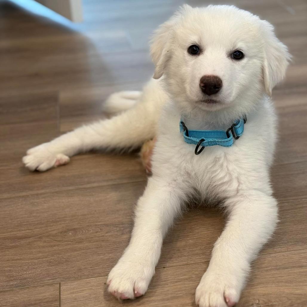 Dolomites thumbnail 3