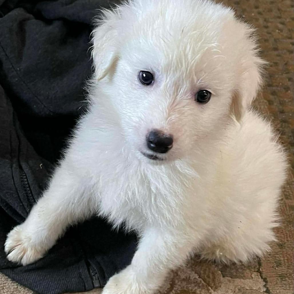 Dolomites thumbnail 4