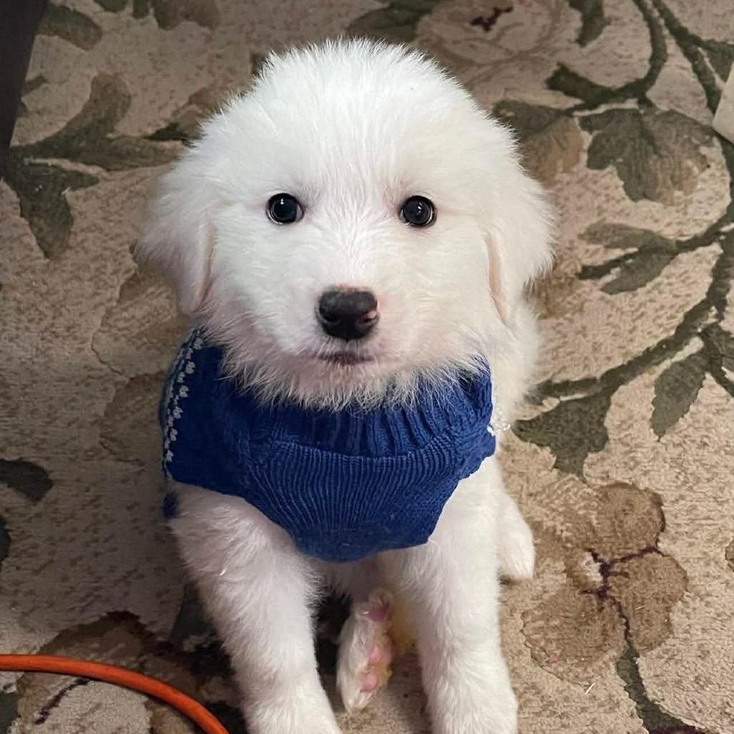 Dolomites thumbnail 6