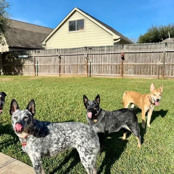 Brandy Old Fashioned Wisconsin — thumbnail 4