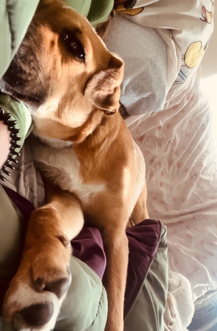 Reba