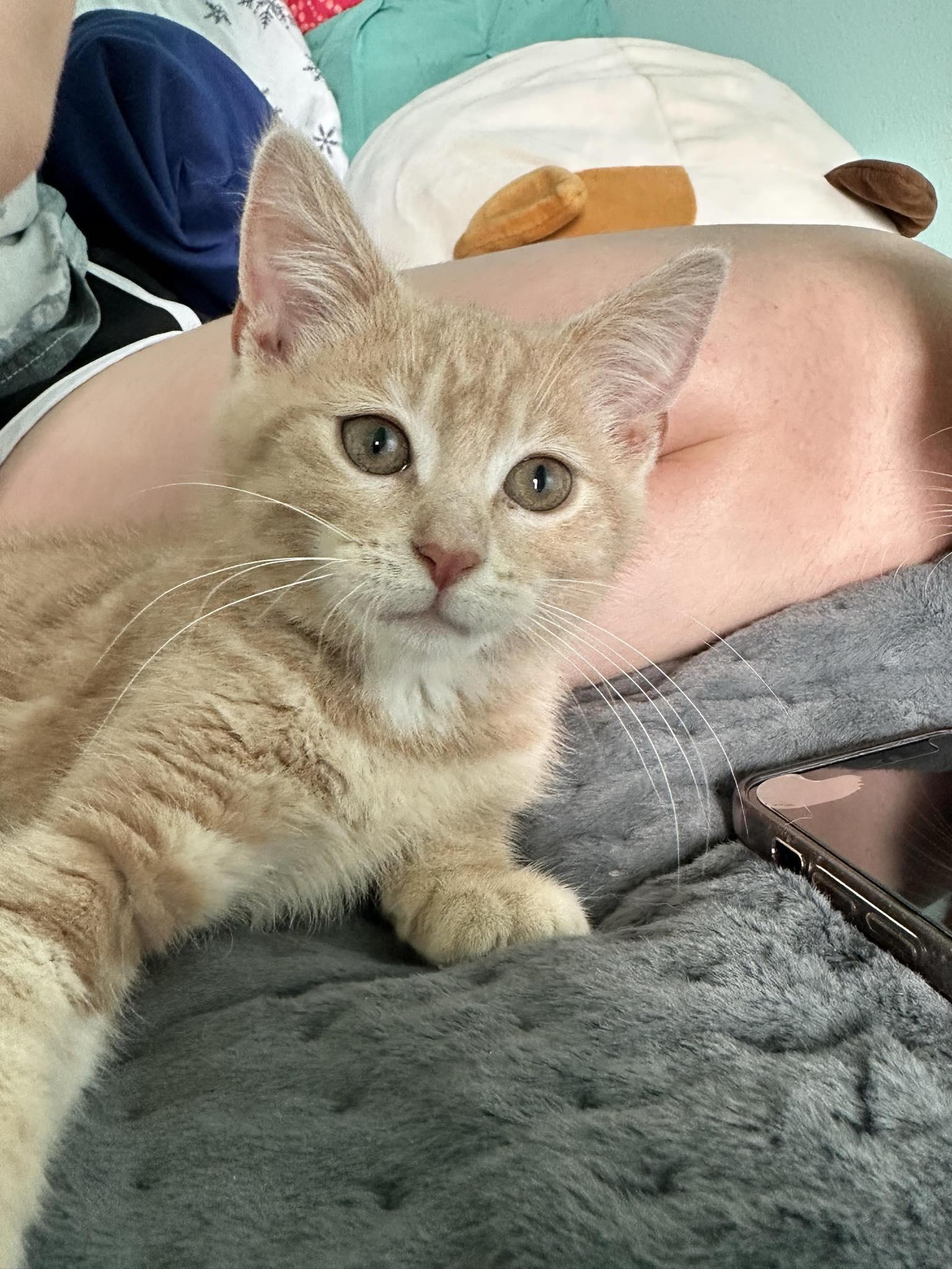 Waylon, Baby Male unknown