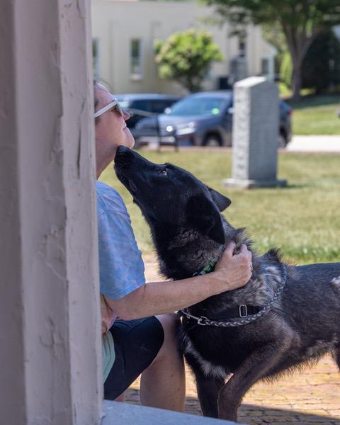 Bandit, a ADOPTABLE mixed breed in Powhatan, VA image 2/4