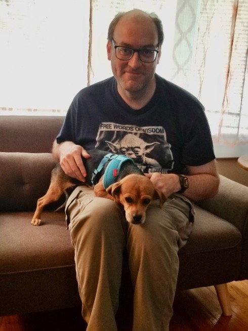 Amy, Adopted, Adult Female Beagle.