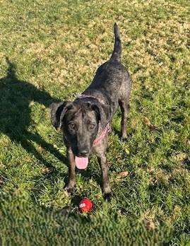 Elvie  Ma thumbnail 3