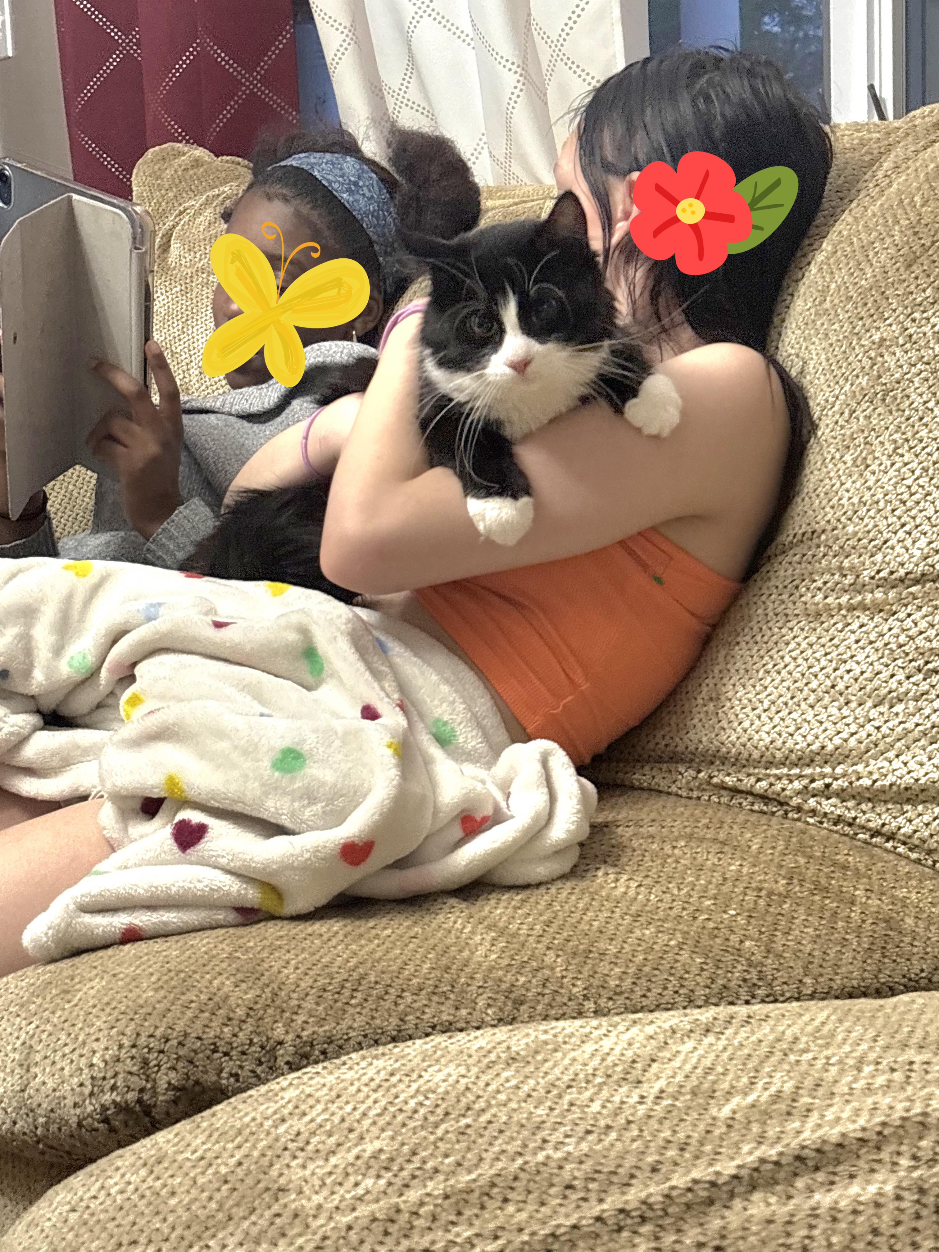 Enlarge Mariposa, a Adoptable Tuxedo in Perth Amboy , NJ image 4/5