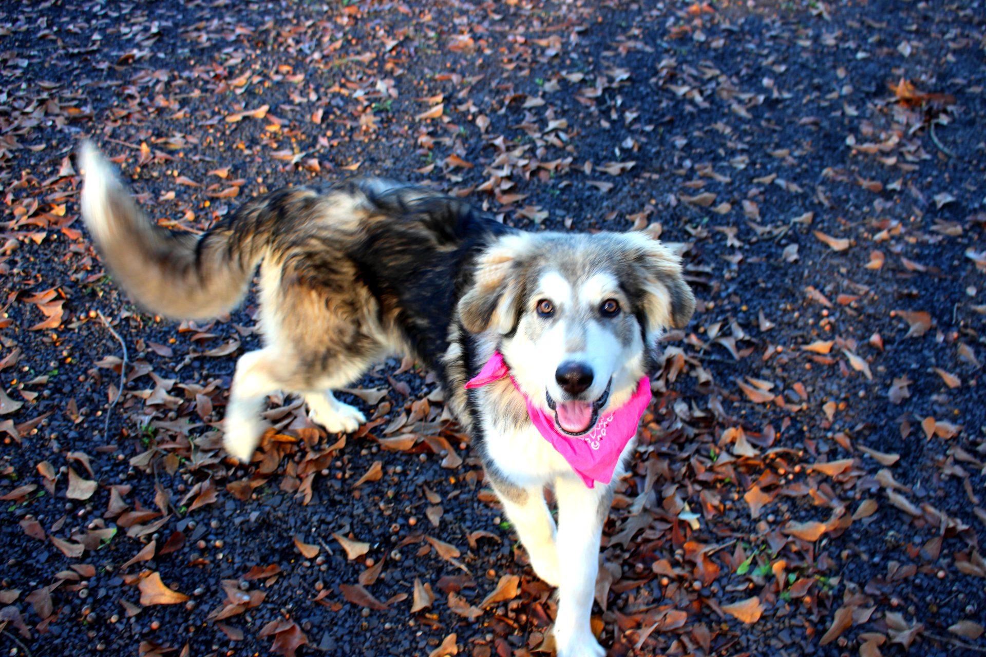 Bella photo 3