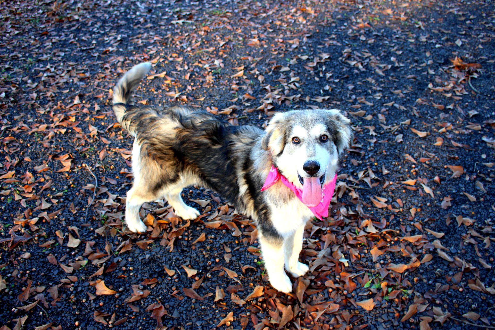 Bella photo 2