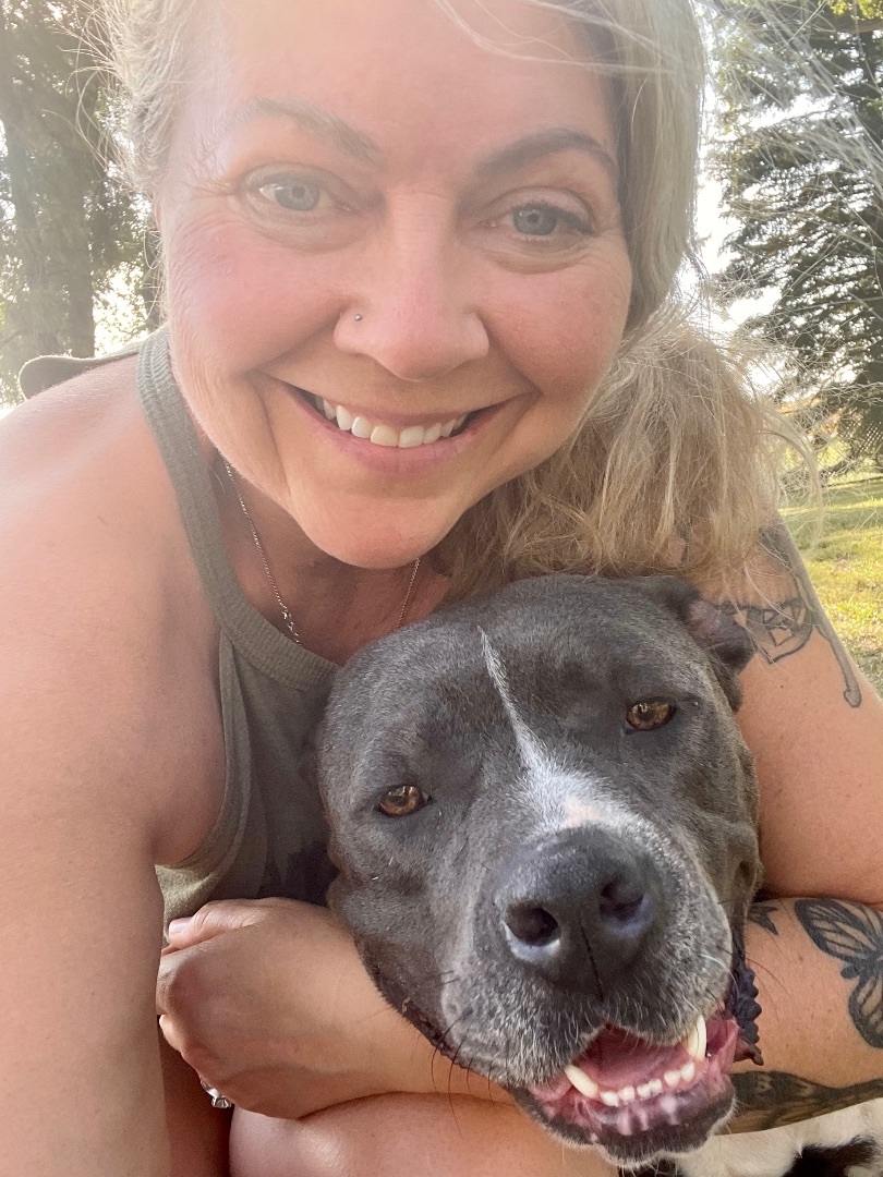 Liberty, a Adopted American Bulldog in Madison, MN image 3/6