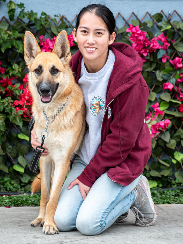 Enlarge Mei von Mellingen", a Adoptable German Shepherd Dog in Los Angeles, CA image 4/6