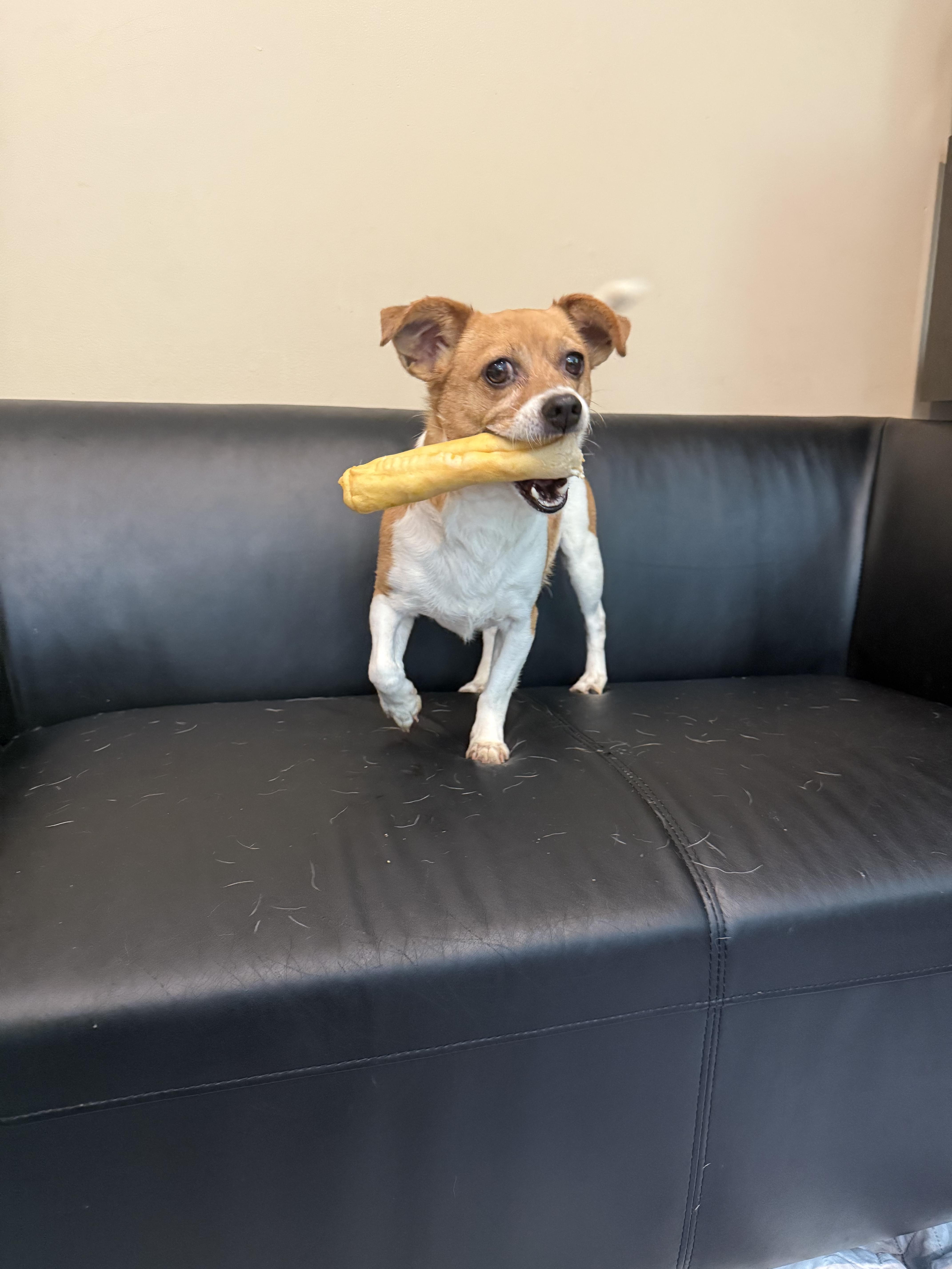 Mimi
