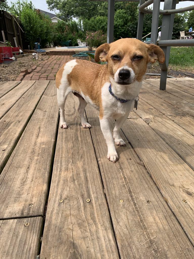 Mimi