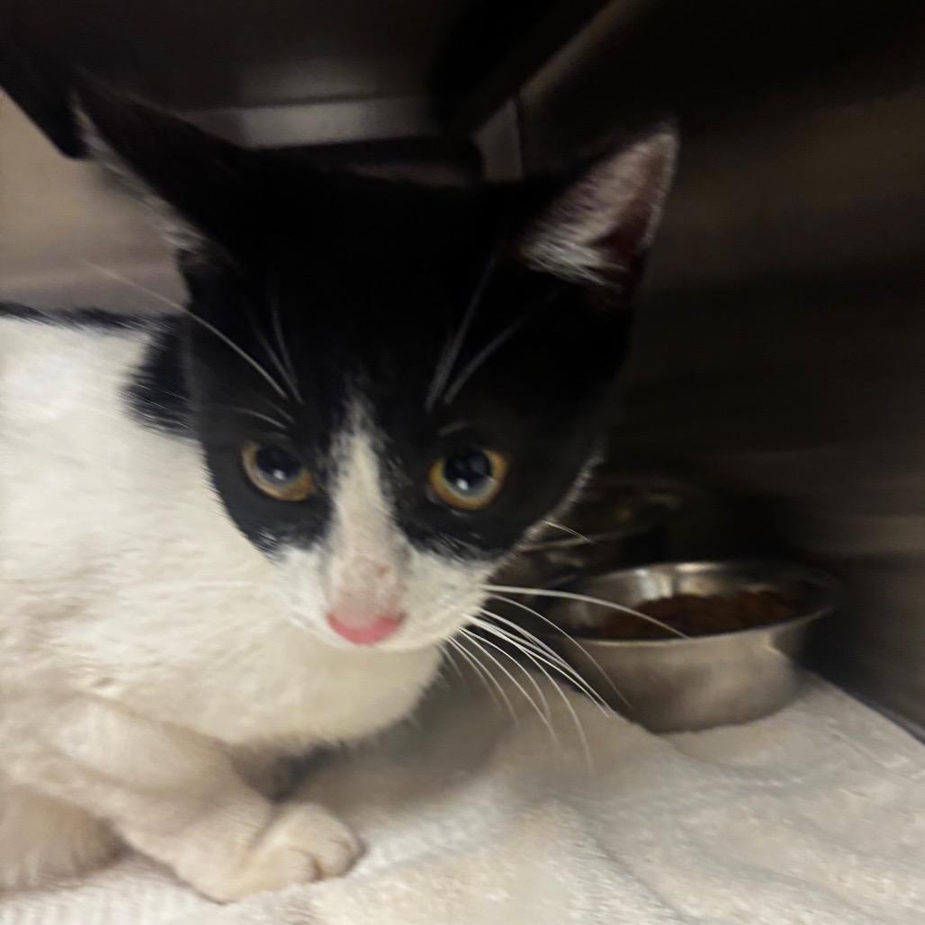 Annabeth — thumbnail 2