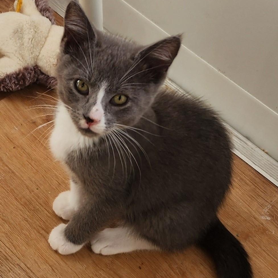 Jackie  Super Cute thumbnail 5