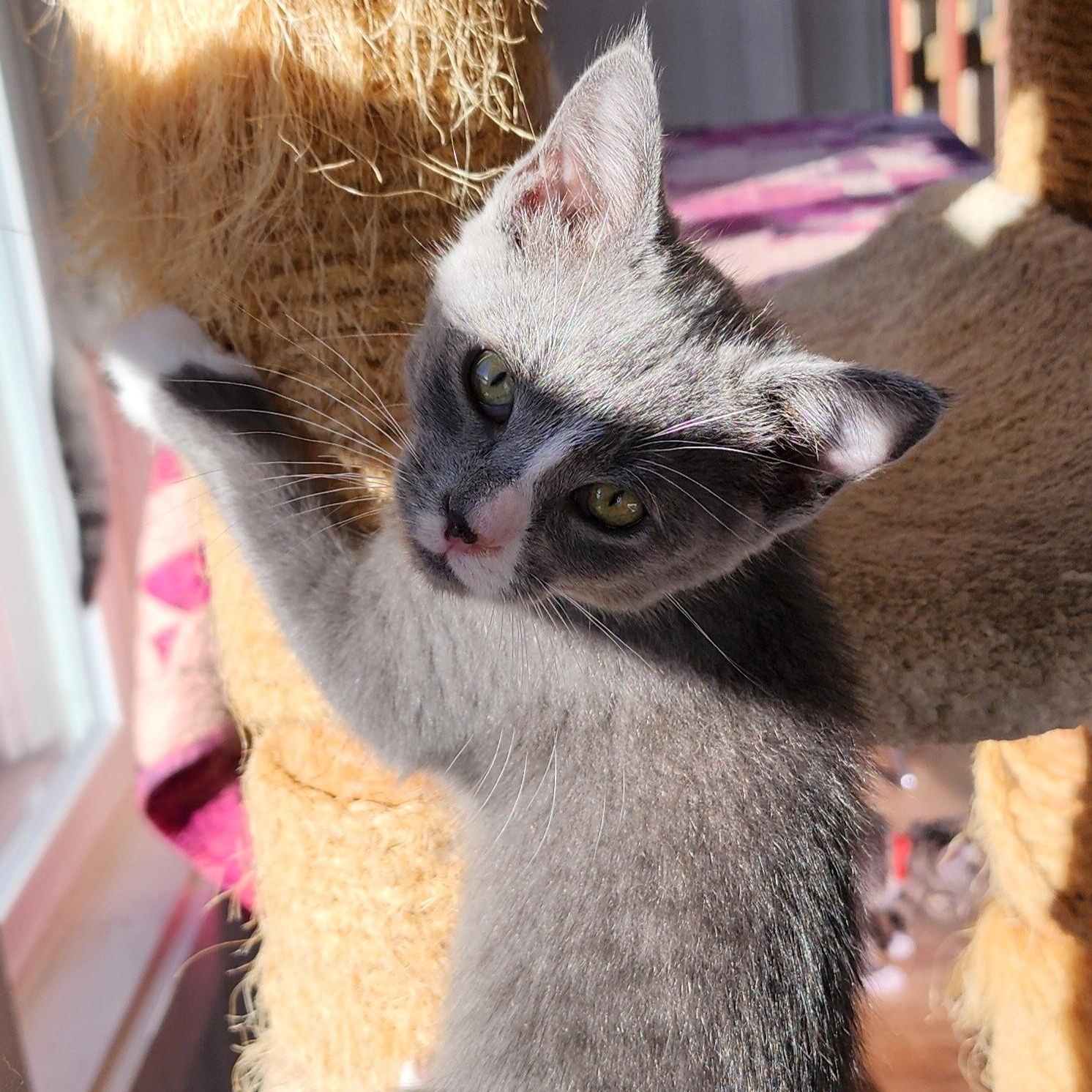 Jackie  Super Cute thumbnail 6