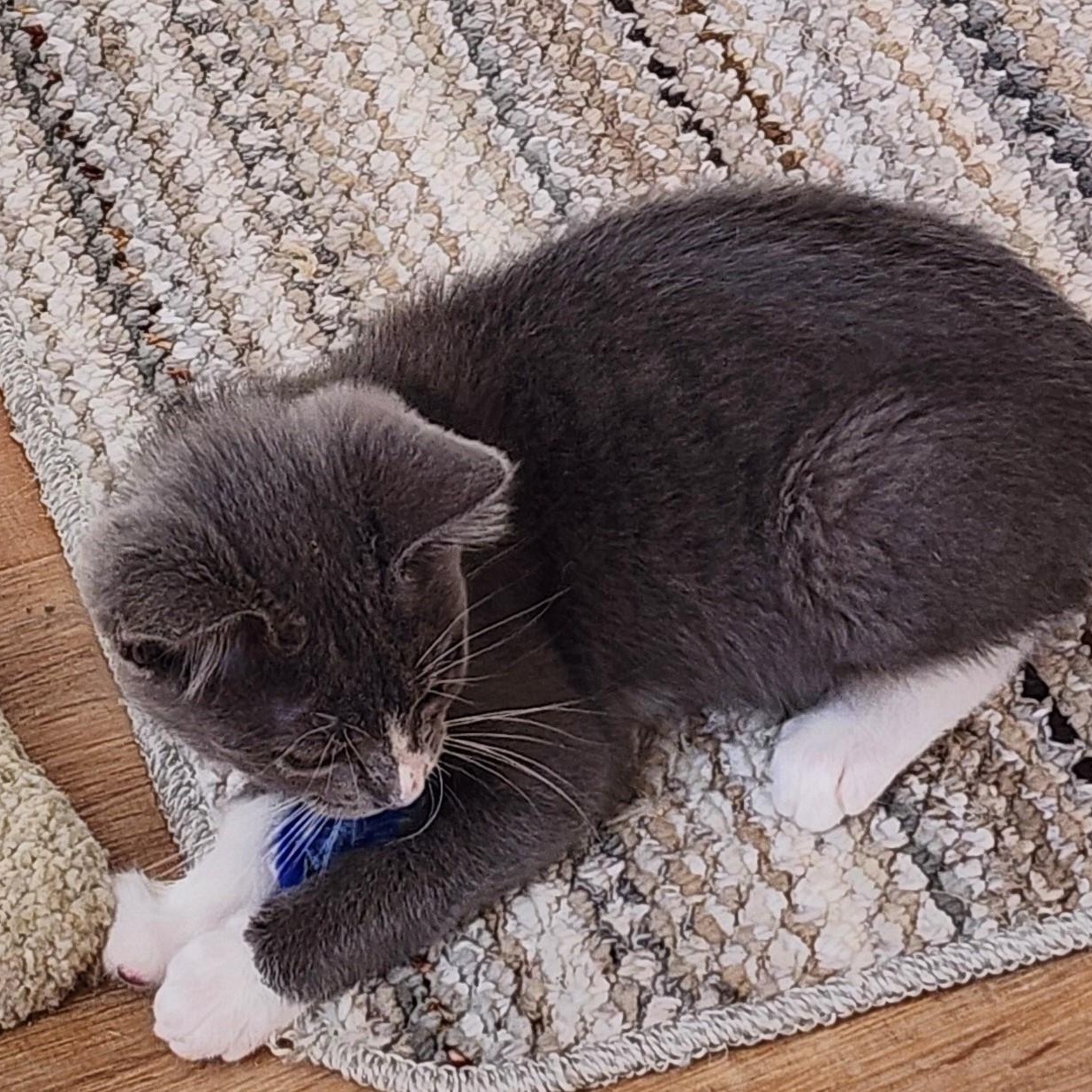 Jackie  Super Cute thumbnail 4