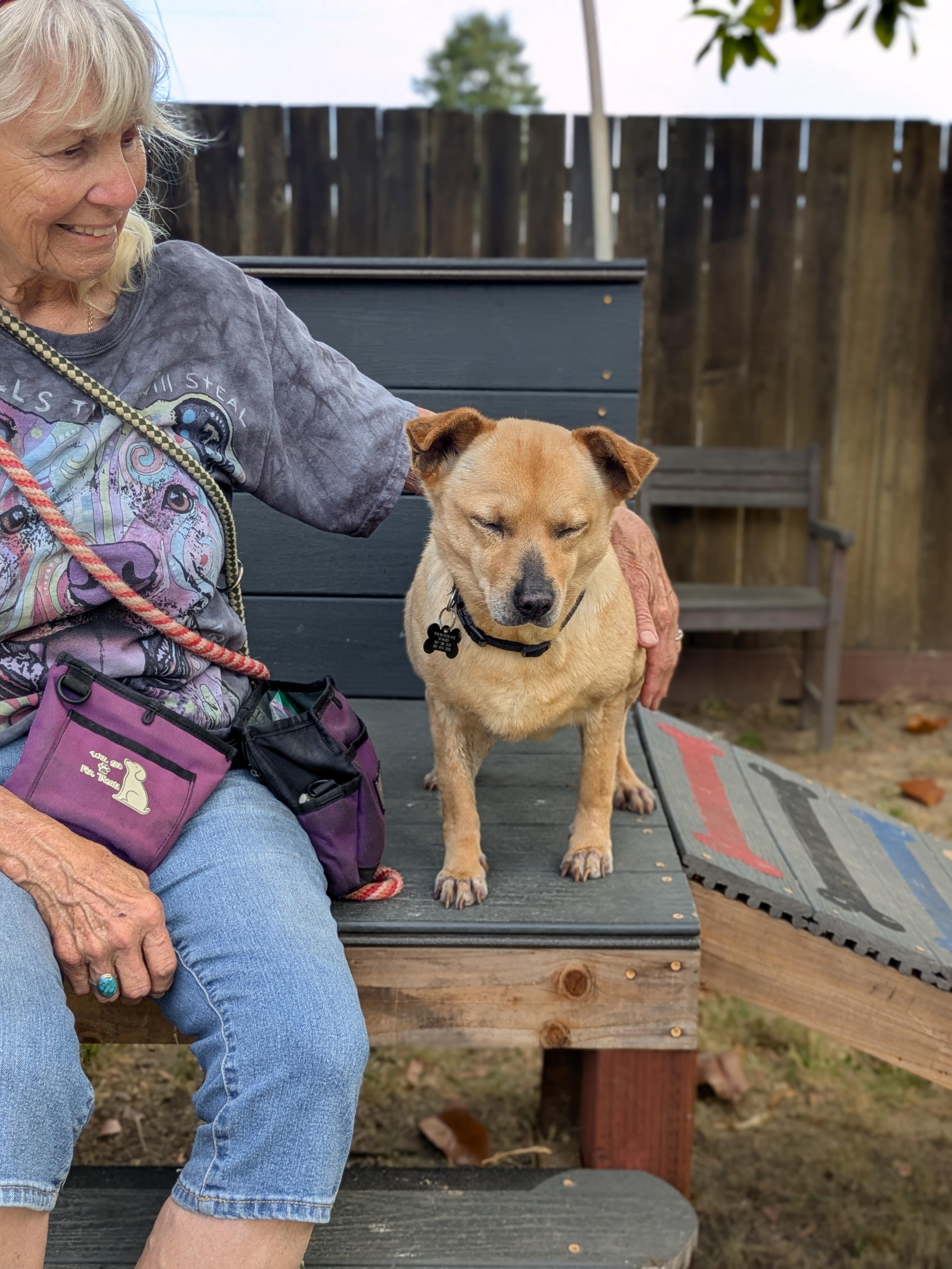 Kareli, a ADOPTABLE mixed breed in Santa Rosa, CA image 5/5