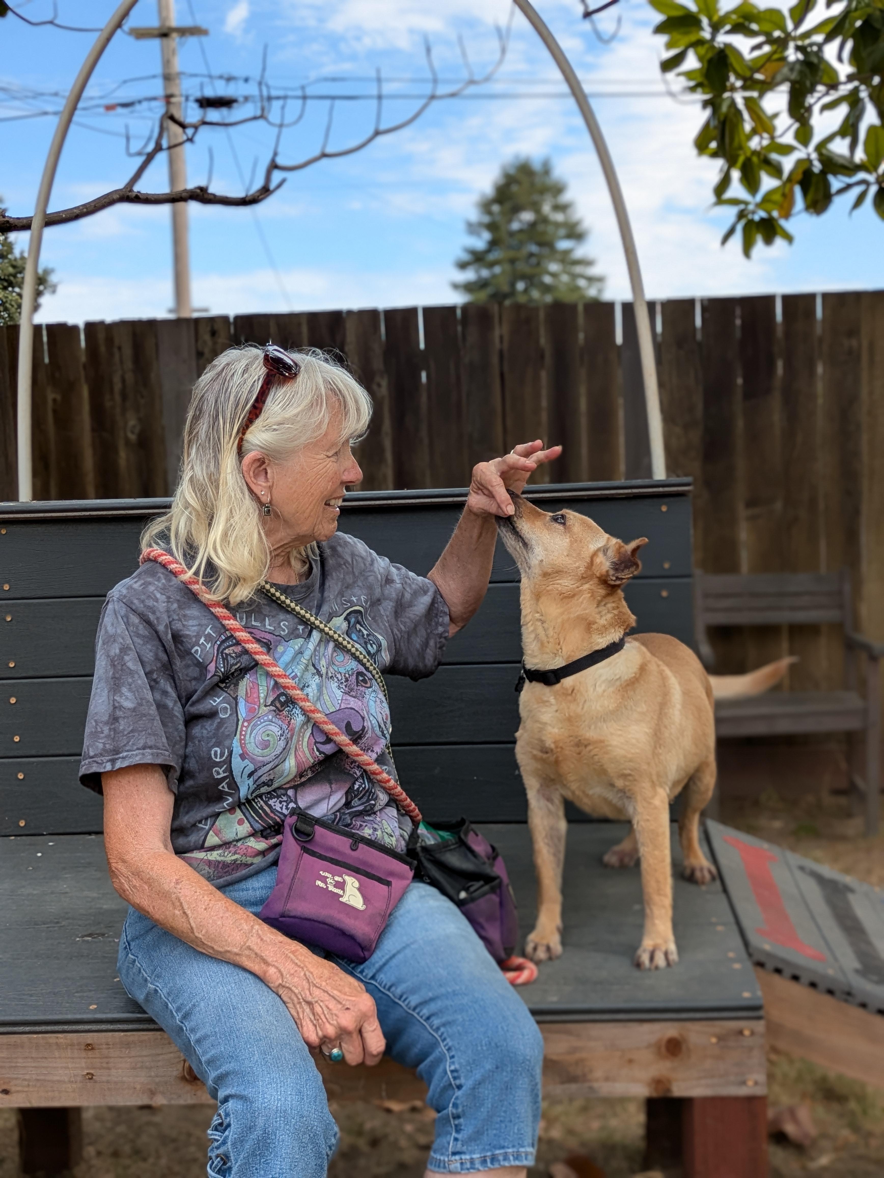 Kareli, a ADOPTABLE mixed breed in Santa Rosa, CA image 4/5