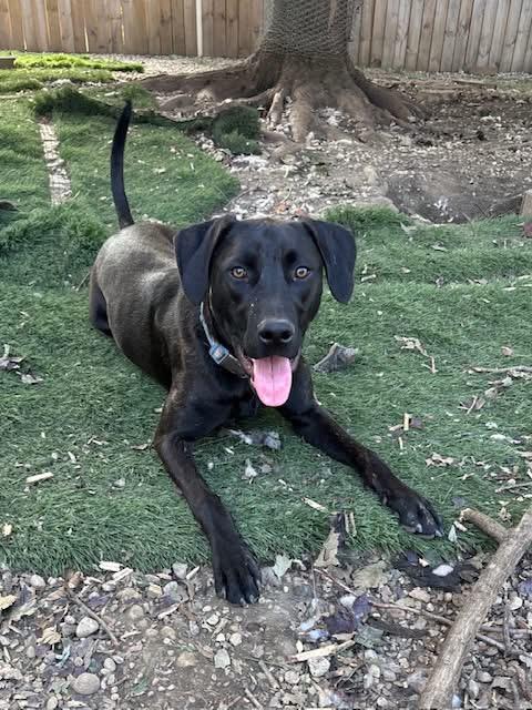 Oakley