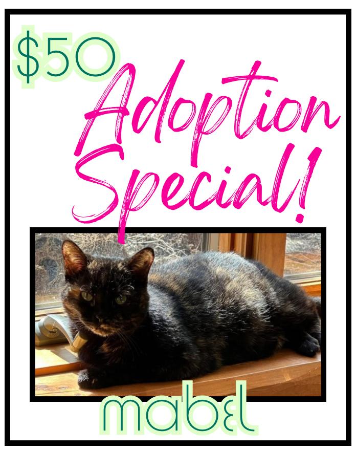 Enlarge Mabel, a Adoptable mixed breed in Poplar Grove, IL image 4/6