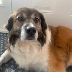 Chester G — thumbnail 4