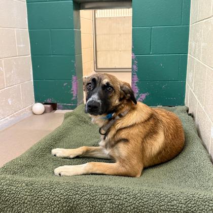 Asia — thumbnail 2