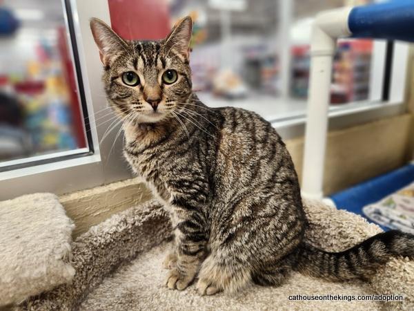 Pleasure — thumbnail 2