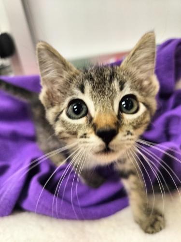 Pleasure — thumbnail 6