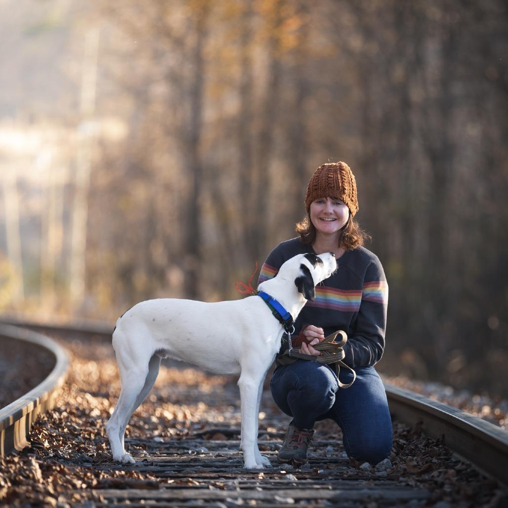 Atticus, a Adoptable mixed breed in Rossville, GA image 1/6