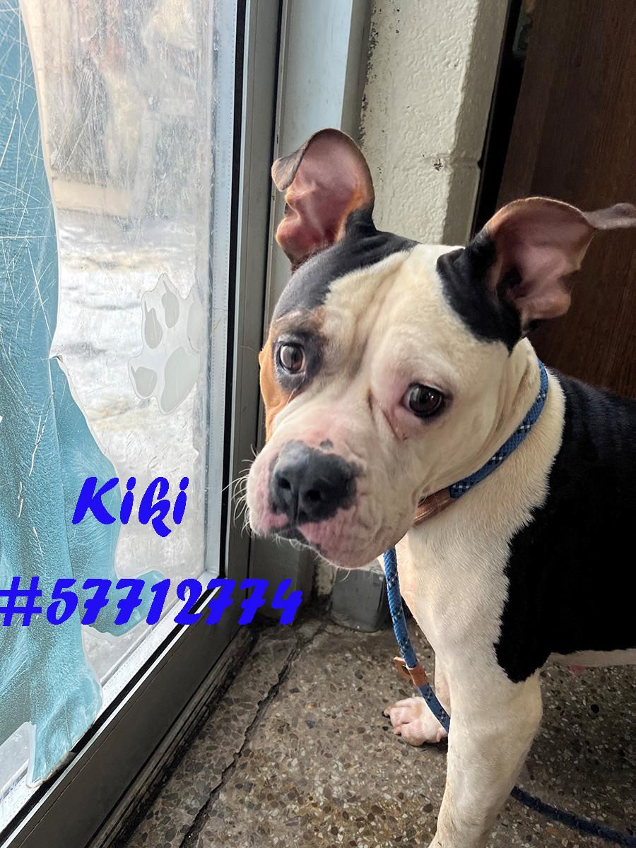 Kiki