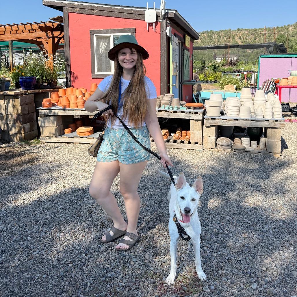 Enlarge Alma, a Adoptable mixed breed in Durango, CO image 2/6
