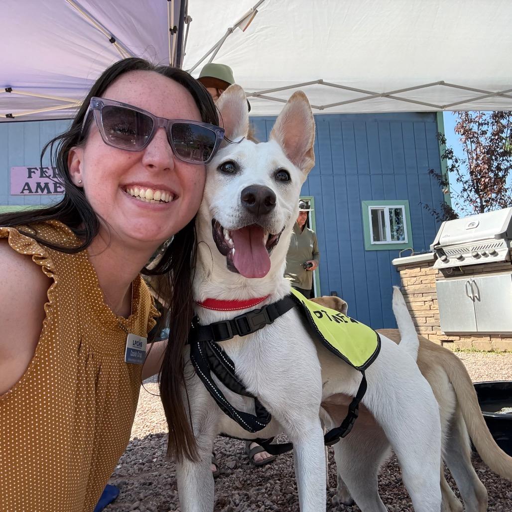 Enlarge Alma, a Adoptable mixed breed in Durango, CO image 6/6