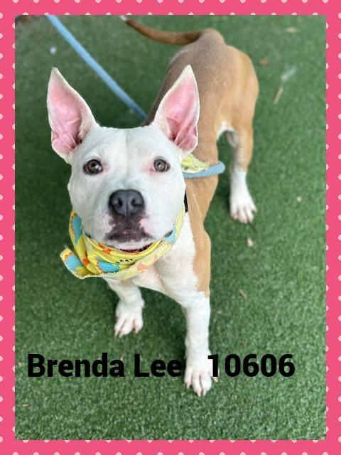 BRENDA LEE