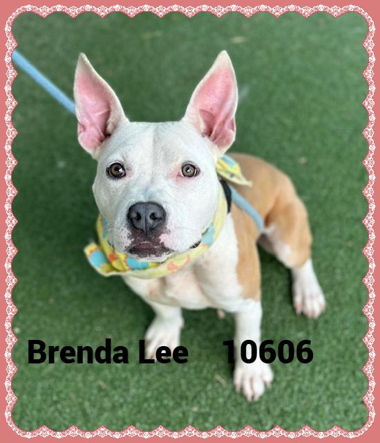 BRENDA LEE