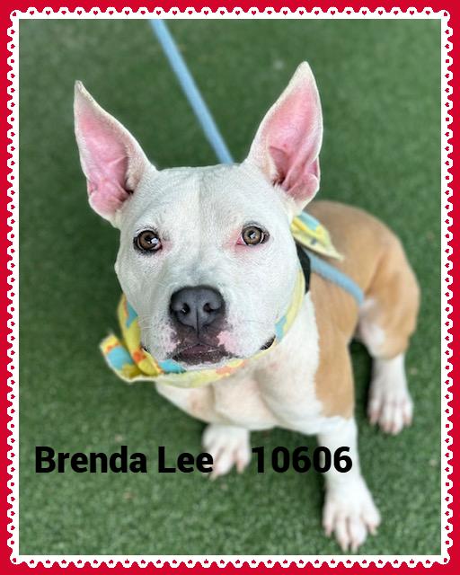 BRENDA LEE