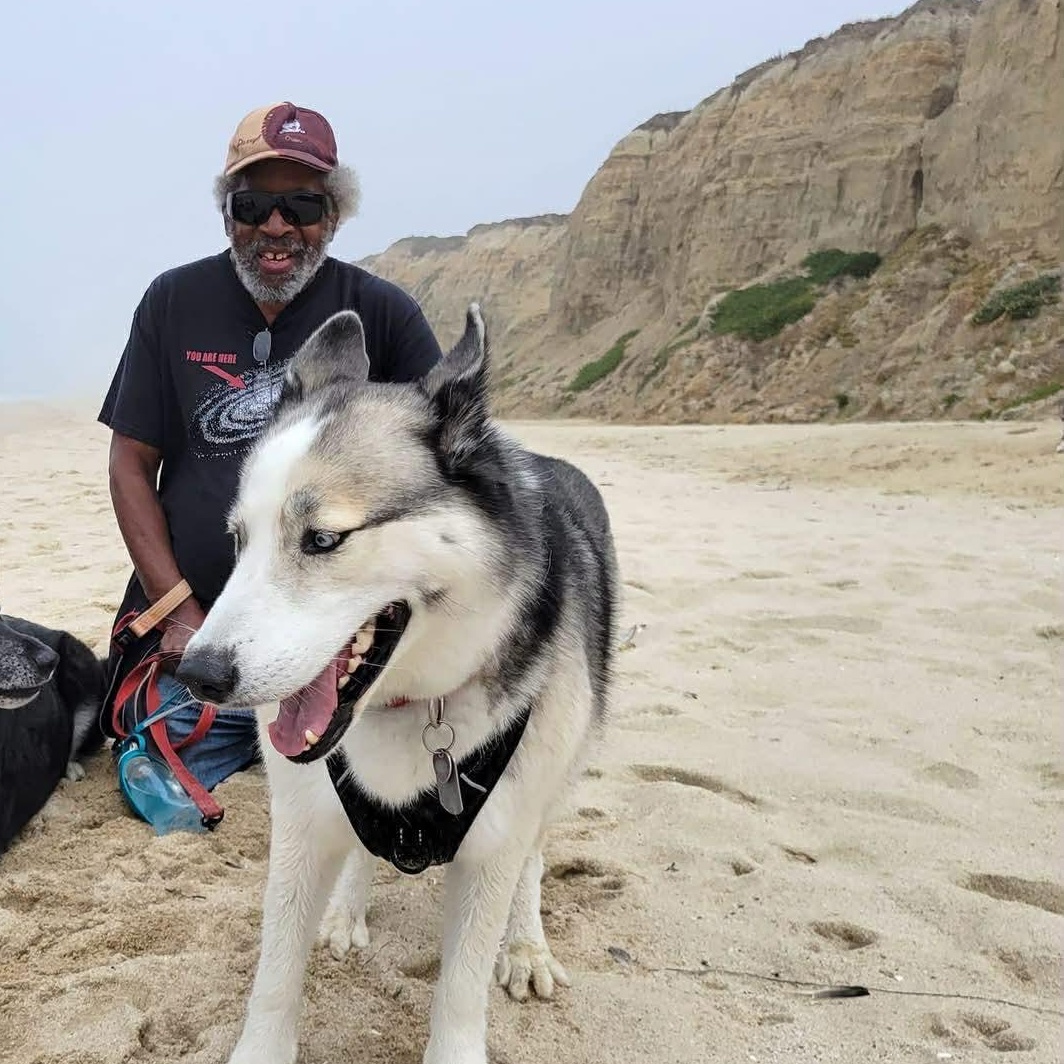 Orion, a ADOPTABLE mixed breed in San Francisco, CA image 3/5