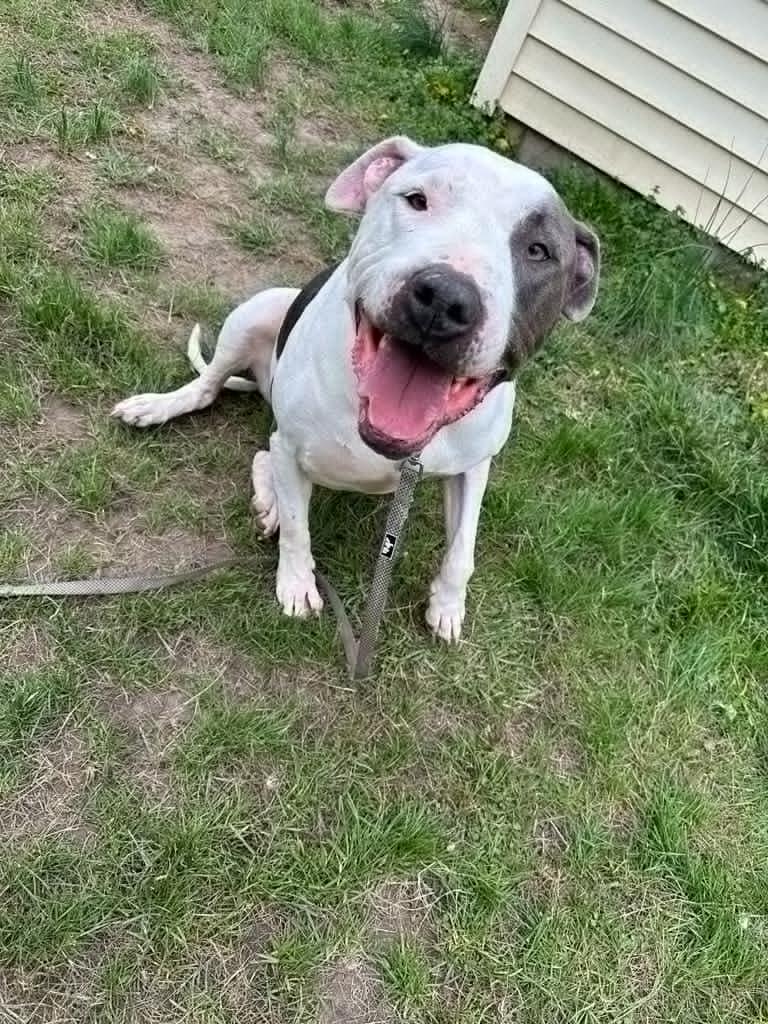 Macbeth (Foster Needed)