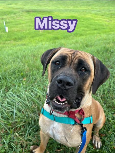 Missy