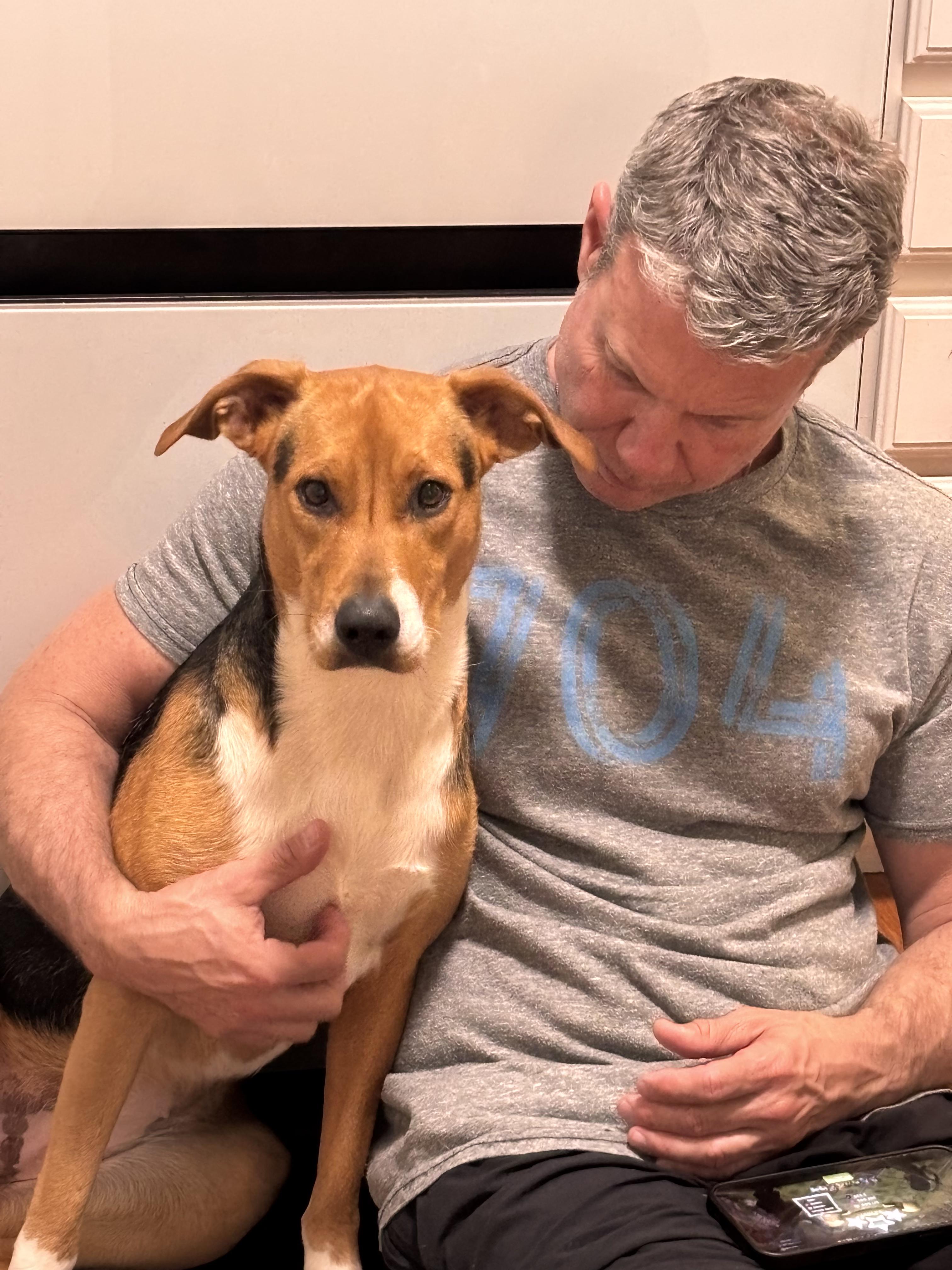 Enlarge Stella, a ADOPTABLE mixed breed in Denver, NC image 5/6