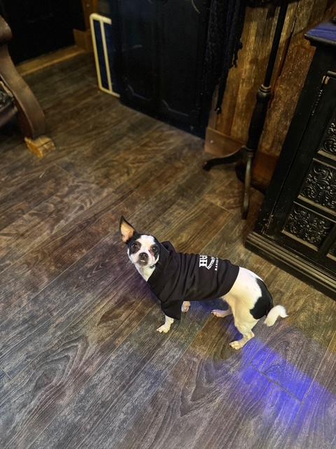 Nay Nay, a Adopted mixed breed in Stewart, TN image 2/5