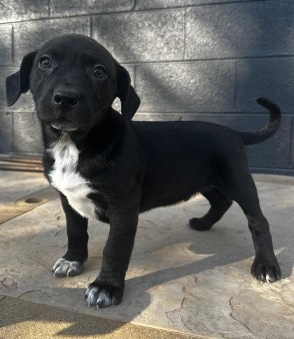 Charleston thumbnail 2