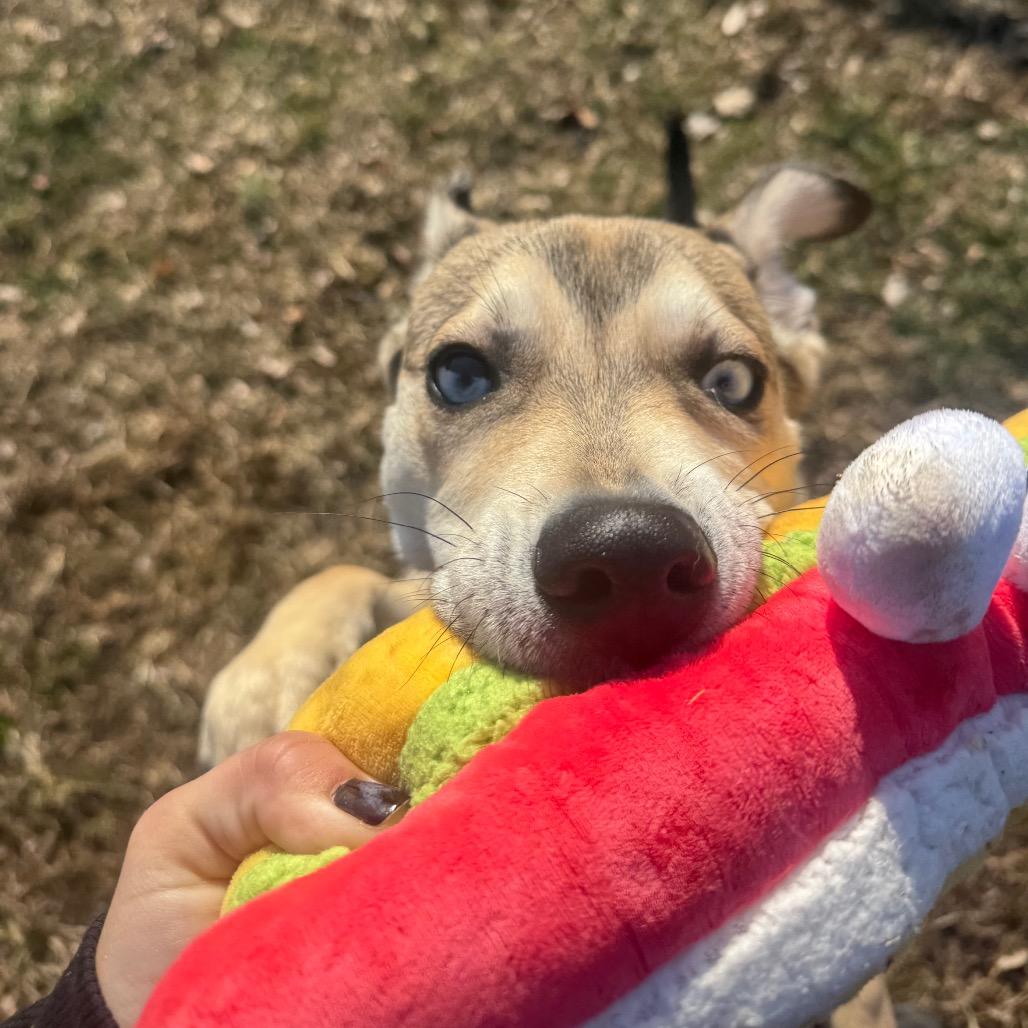 Thing (FKA Fing) — thumbnail 2