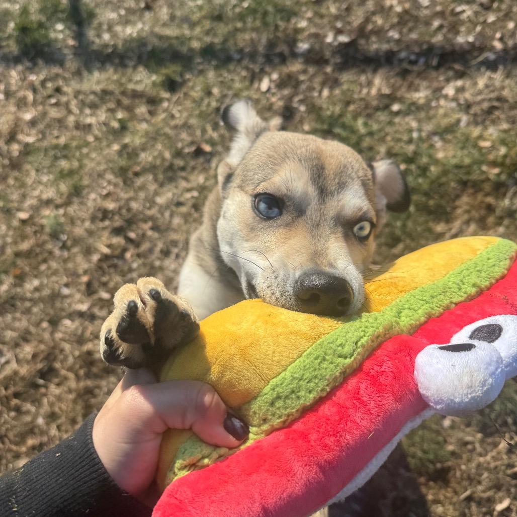 Thing (FKA Fing) — thumbnail 3