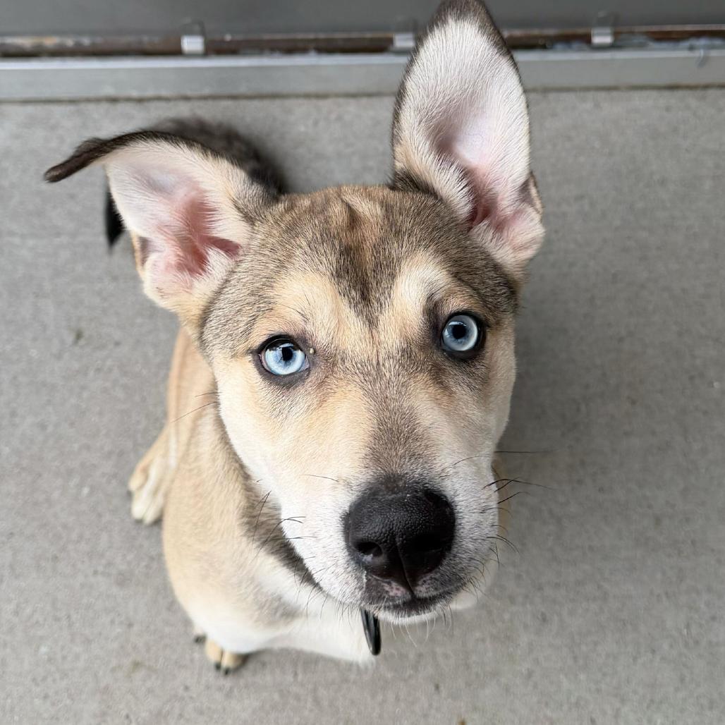 Thing (FKA Fing) — thumbnail 4