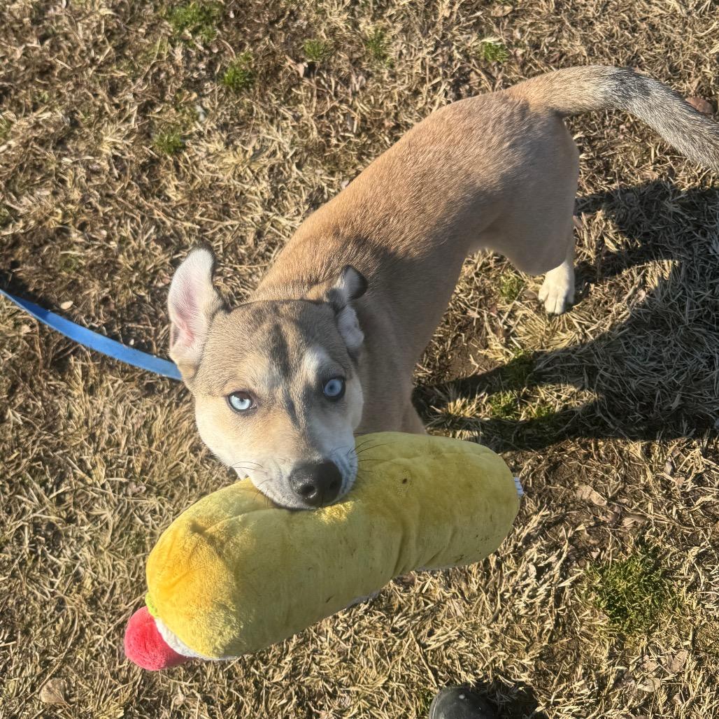 Thing (FKA Fing) — thumbnail 5