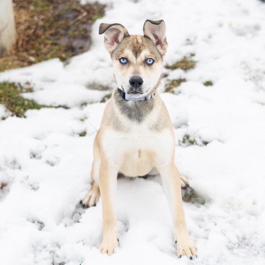 Thing (FKA Fing) — thumbnail 6