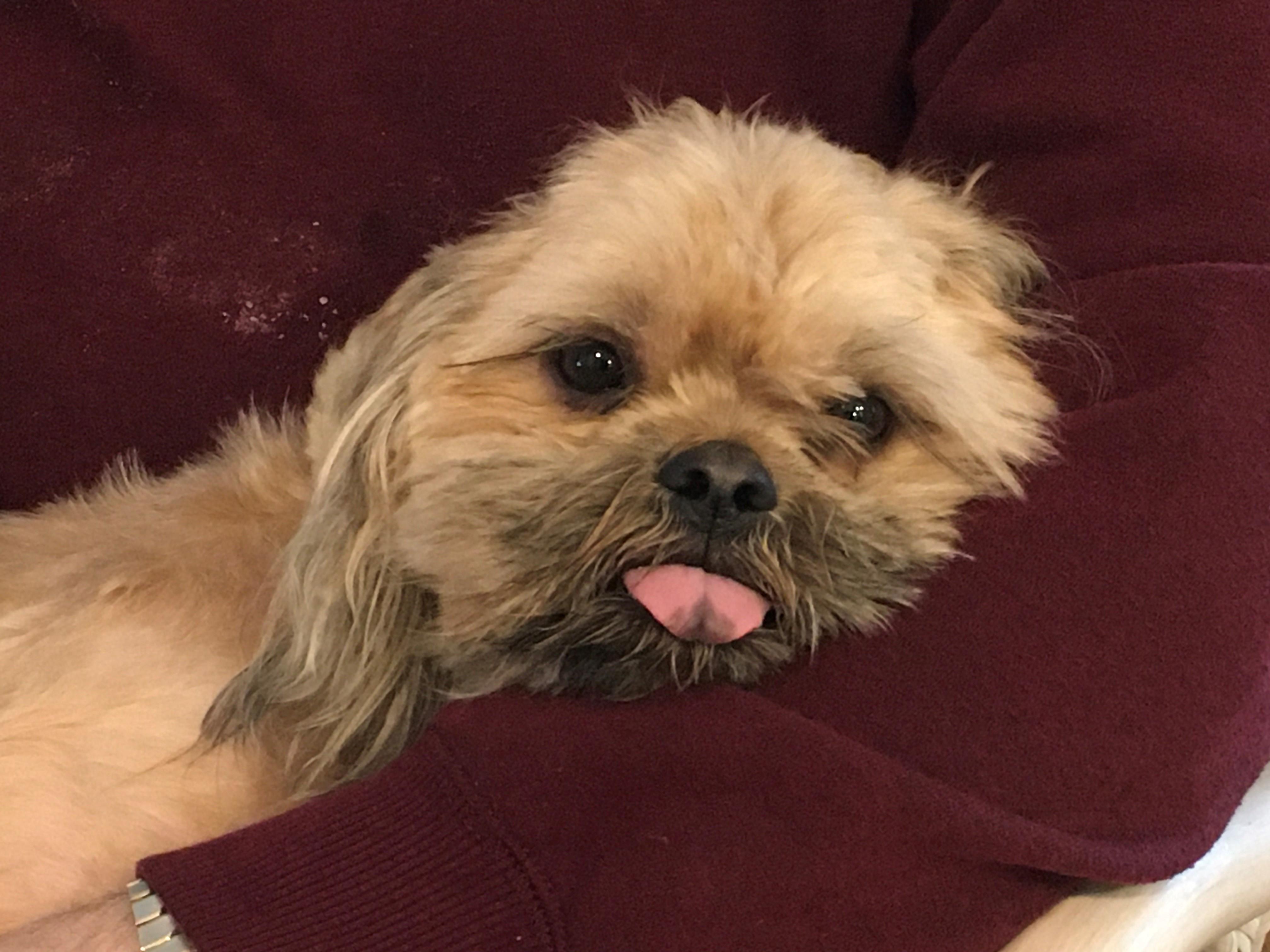 Buddy photo 1